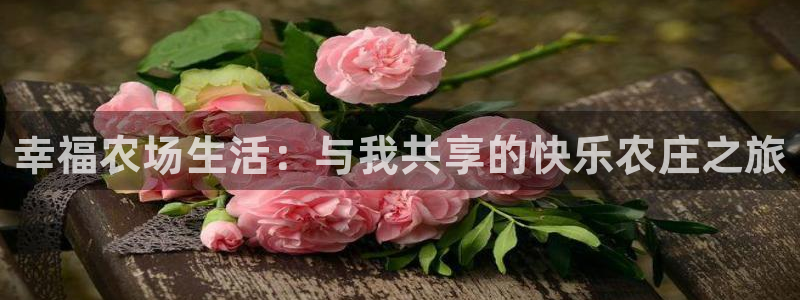摩根娱乐彩票挂机