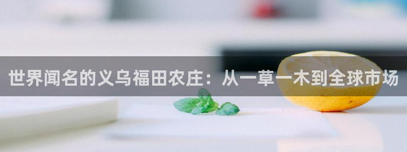 摩根国际娱乐会所