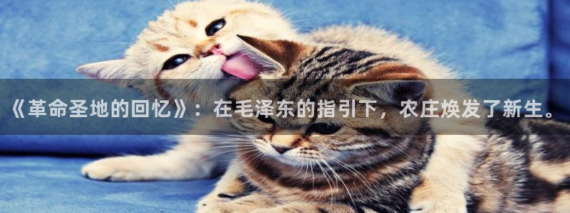 摩根娱乐宝是骗人的的吗