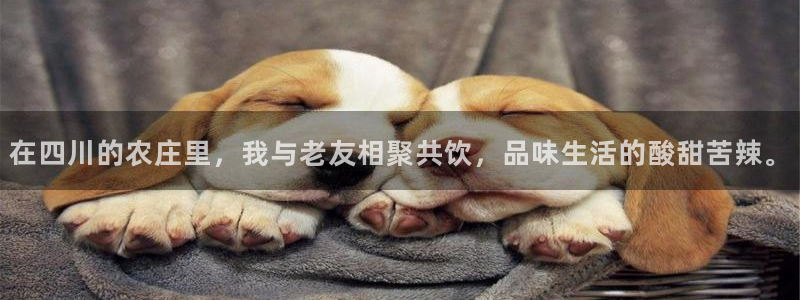 摩根娱乐黑台