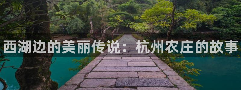 摩根2娱乐