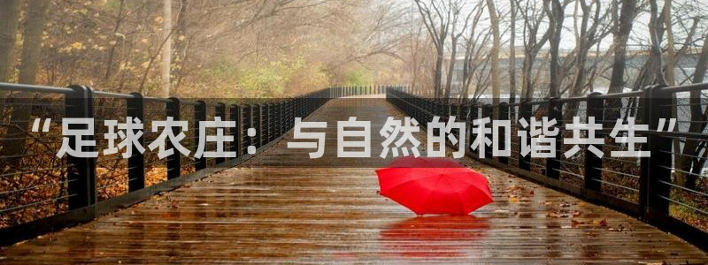摩根娱乐宝如何提现
