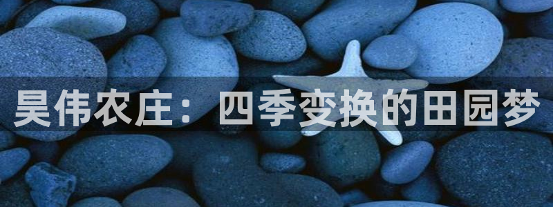 摩根娱乐金光
