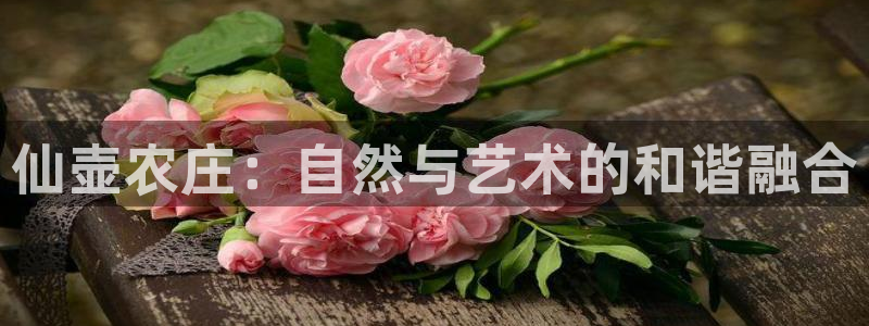 白宫摩根娱乐场所