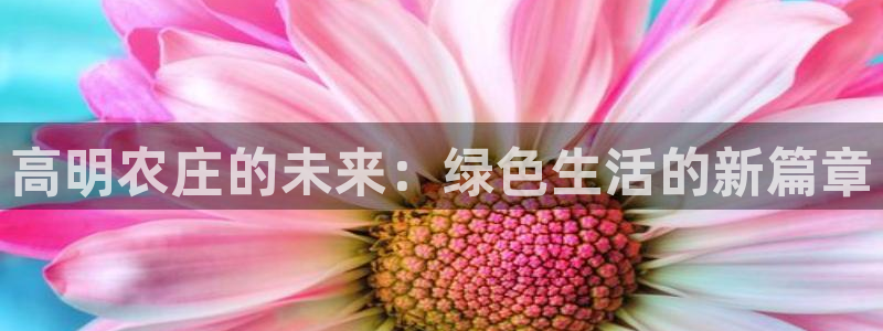 摩根娱乐视频大全