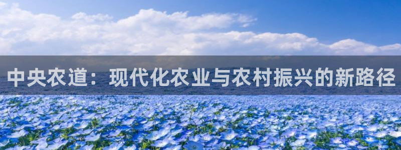 摩根 娱乐宝骗了我
