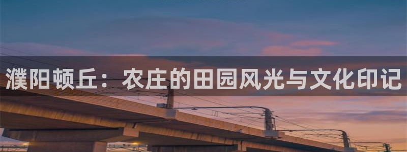 摩根士丹利娱乐