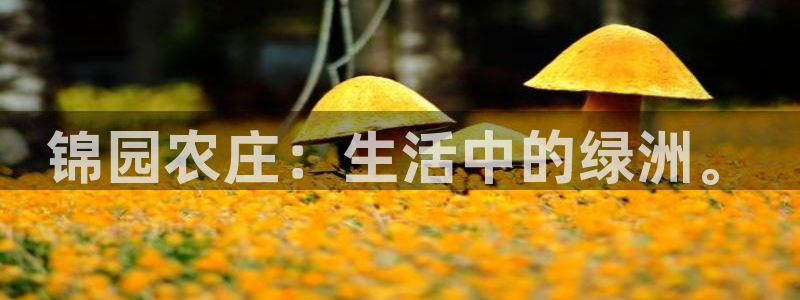 义务摩根娱乐会所电话