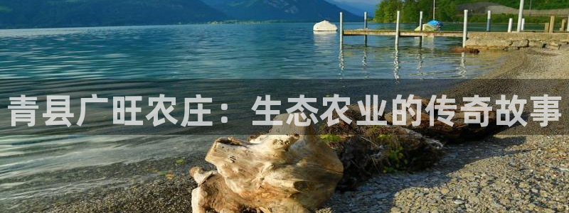 摩根娱乐宝真的假的