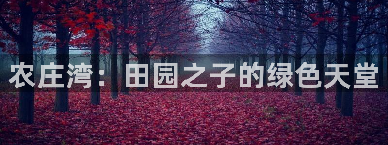 摩根娱乐 总s管50015