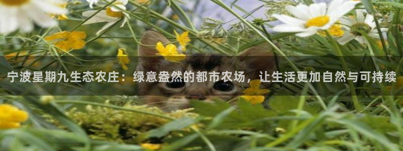 泉州摩根娱乐会所电话地址