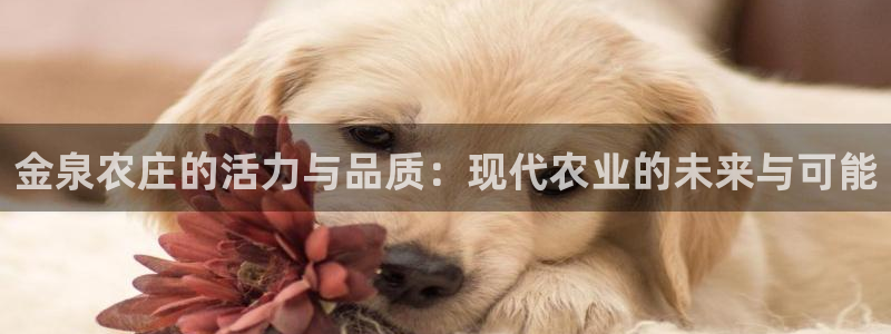 摩根娱乐和摩根国际