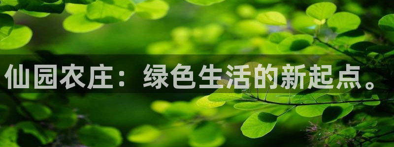 摩根娱乐宝。知道吗