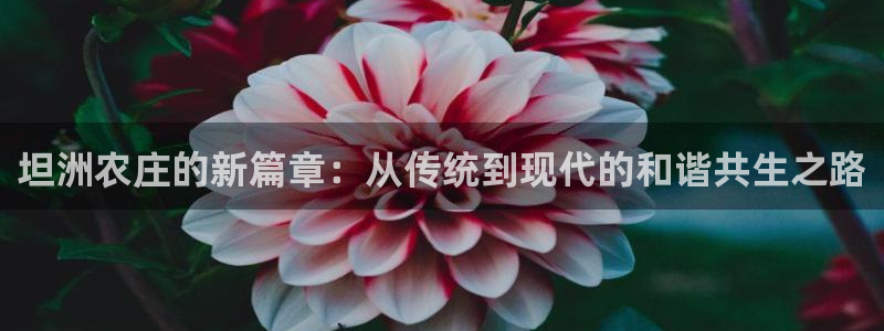 摩根娱乐宝是什么游戏