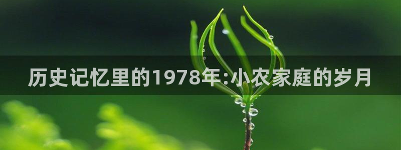 摩根娱乐黑台