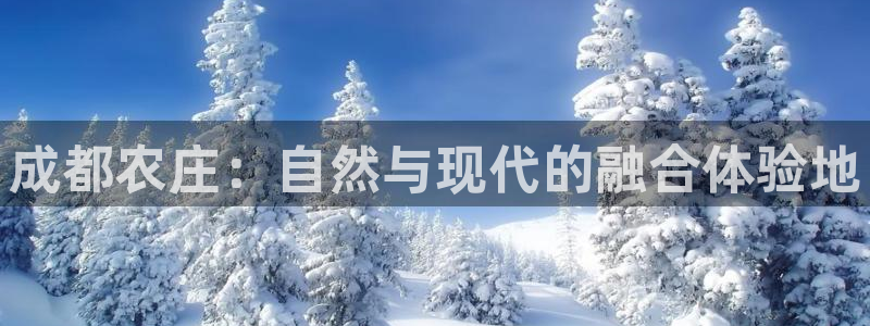 义乌摩根娱乐会所价格