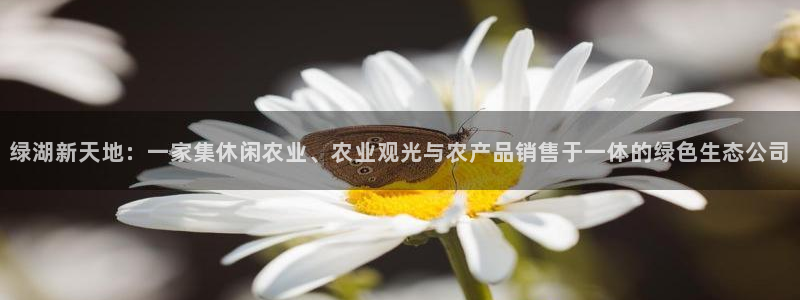长春拉图摩根附近娱乐