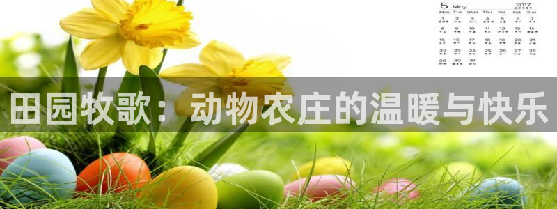 摩根时代资阳娱乐场所