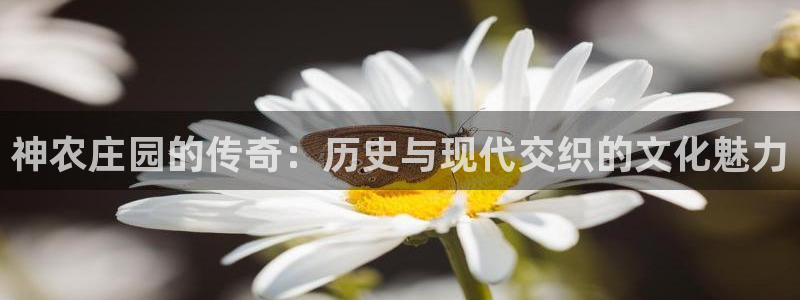 摩根娱乐¤股s东50015