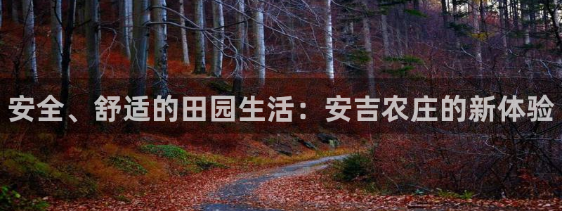 摩根娱乐挂机项目
