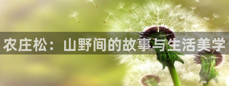 摩根娱乐宝APP下载
