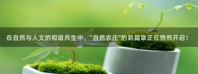 泉州摩根会娱乐