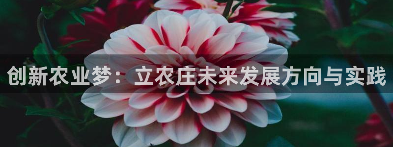 猫眼娱乐摩根士丹利