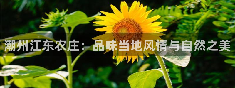 义乌摩根娱乐会所消费