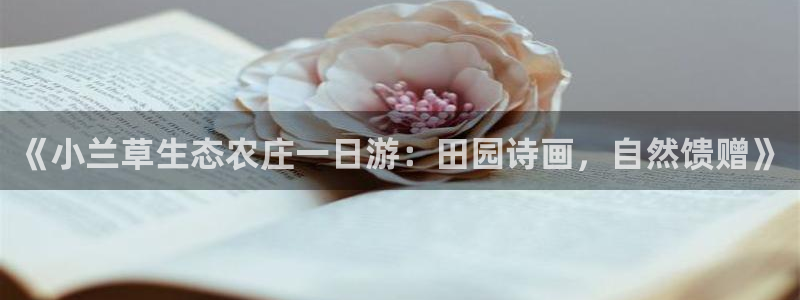 摩根娱乐dj