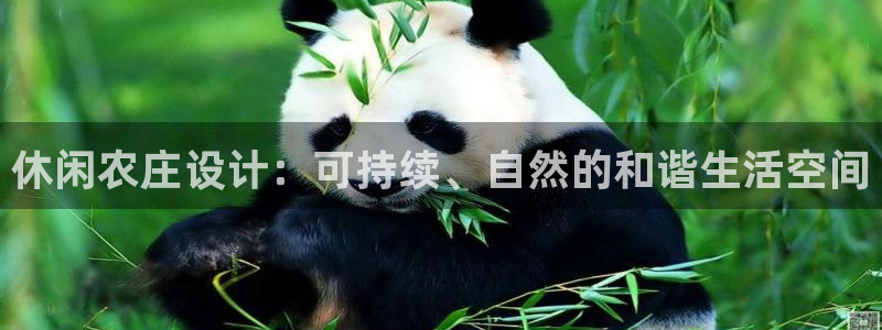摩根娱乐宝官网下载