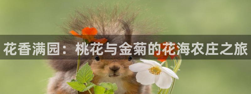摩根娱乐宝正规吗