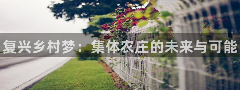 摩根娱乐宝机构代码