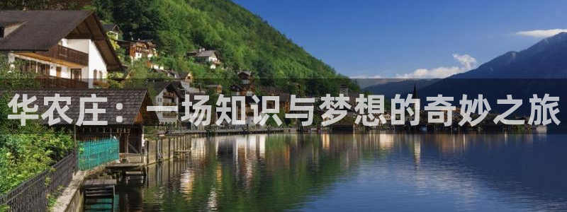 摩根娱乐宝教程