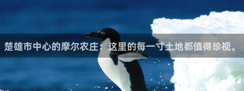 摩根娱乐开户总s管50015 18