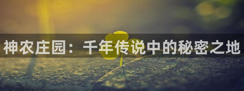 白宫摩根娱乐