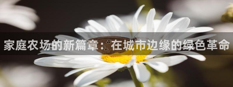 义乌摩根国际娱乐会所