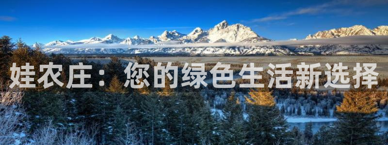 摩根娱乐宝使用操作