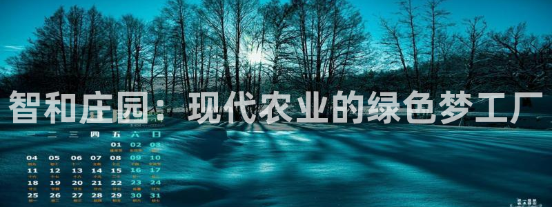 摩根娱乐宝 怎么样