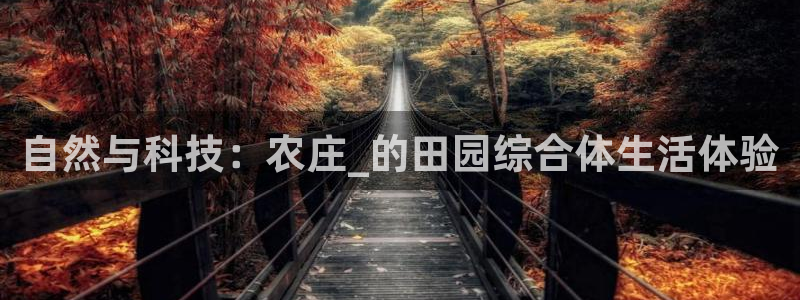 摩根娱乐宝收益怎么样