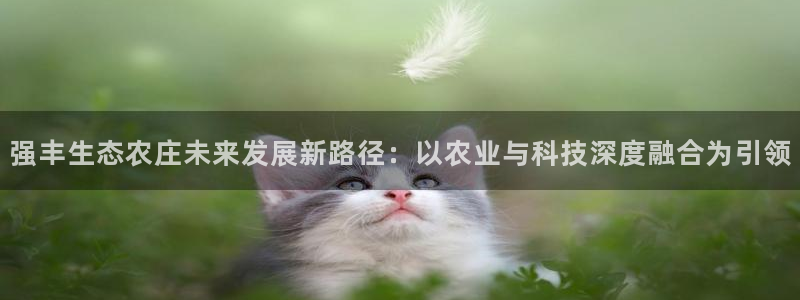 摩根娱乐宝被骗怎么办