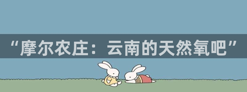 摩根国际娱乐会所电话