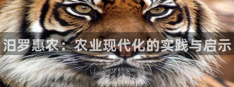 摩根娱乐宝合法吗