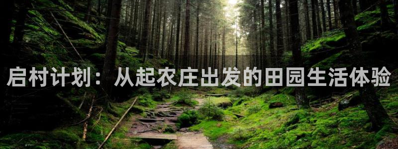 摩根国际娱乐宝合法吗