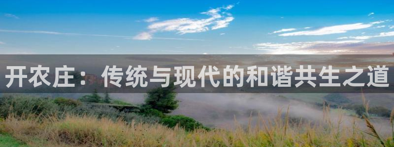 摩根娱乐是什么模式