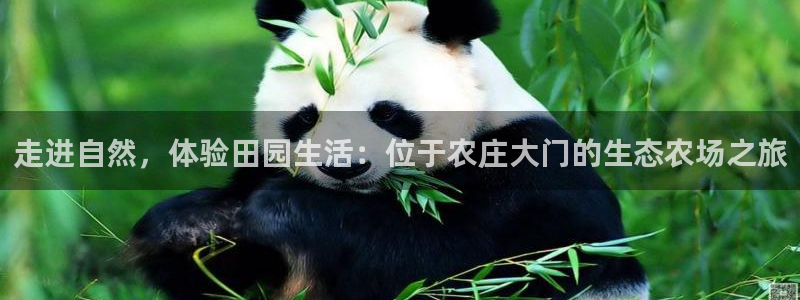 深圳摩根时代娱乐公司