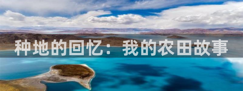 柬埔寨西港摩根娱乐