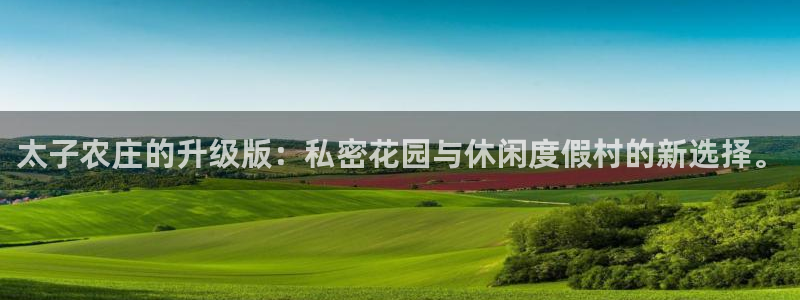 摩根娱乐金光