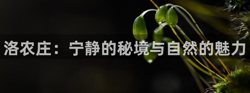 泉州摩根会娱乐有限公司