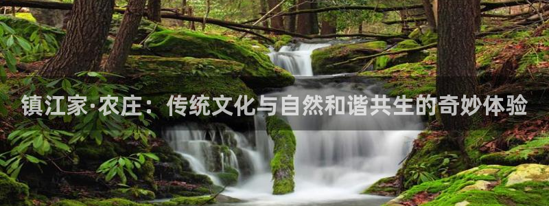 福建泉州白宫摩根会娱乐