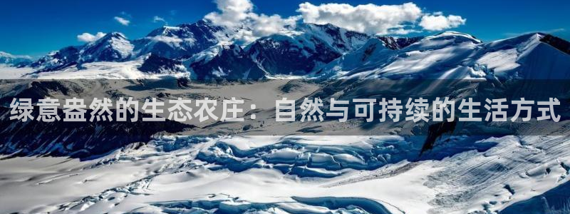 摩根国际娱乐宝书籍